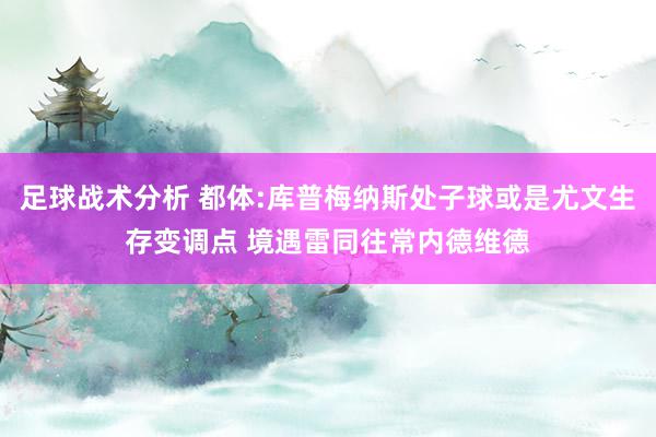 足球战术分析 都体:库普梅纳斯处子球或是尤文生存变调点 境遇雷同往常内德维德