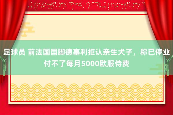 足球员 前法国国脚德塞利拒认亲生犬子，称已停业付不了每月5000欧服侍费