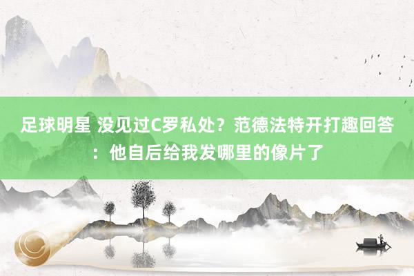 足球明星 没见过C罗私处？范德法特开打趣回答：他自后给我发哪里的像片了