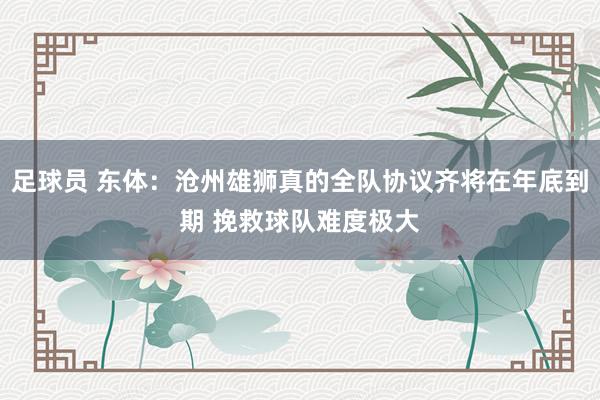 足球员 东体：沧州雄狮真的全队协议齐将在年底到期 挽救球队难度极大