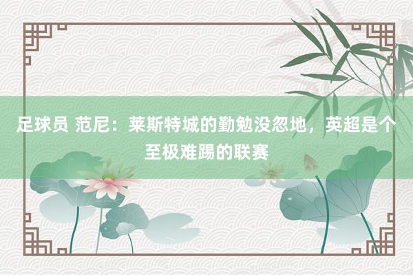 足球员 范尼：莱斯特城的勤勉没忽地，英超是个至极难踢的联赛