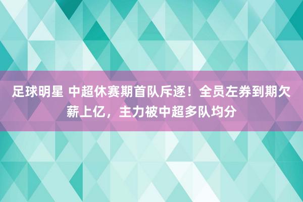 足球明星 中超休赛期首队斥逐！全员左券到期欠薪上亿，主力被中超多队均分